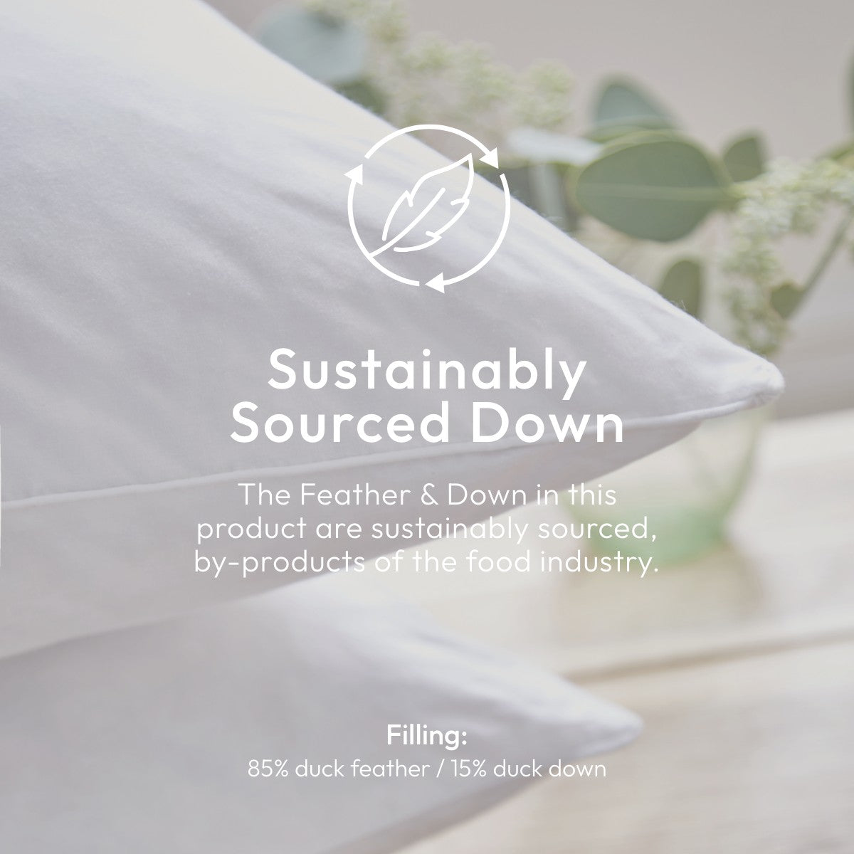 Superior Feather Square Pillow